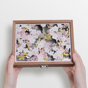 Cherry Blossom 櫻花