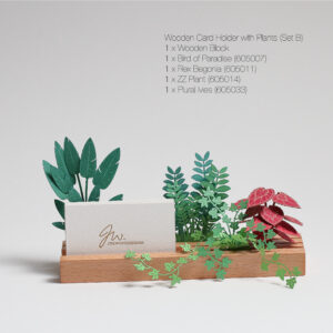 Wooden Block with Plants (Set B)  木底座連立體植物套裝 (套裝B)