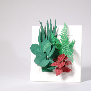 Paper Photo Frame with Plants (Set A)   紙相框連立體植物套裝 (套裝A)